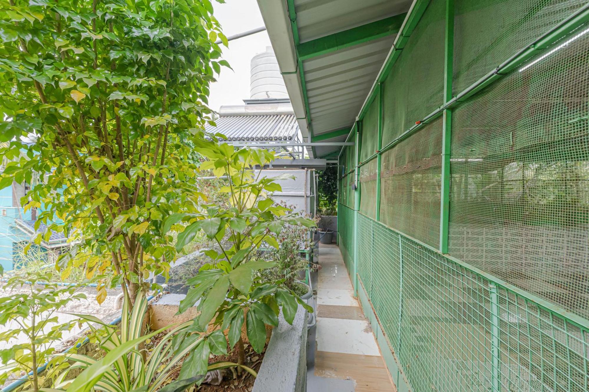 Udupi Homestay Garden Villa Exteriér fotografie